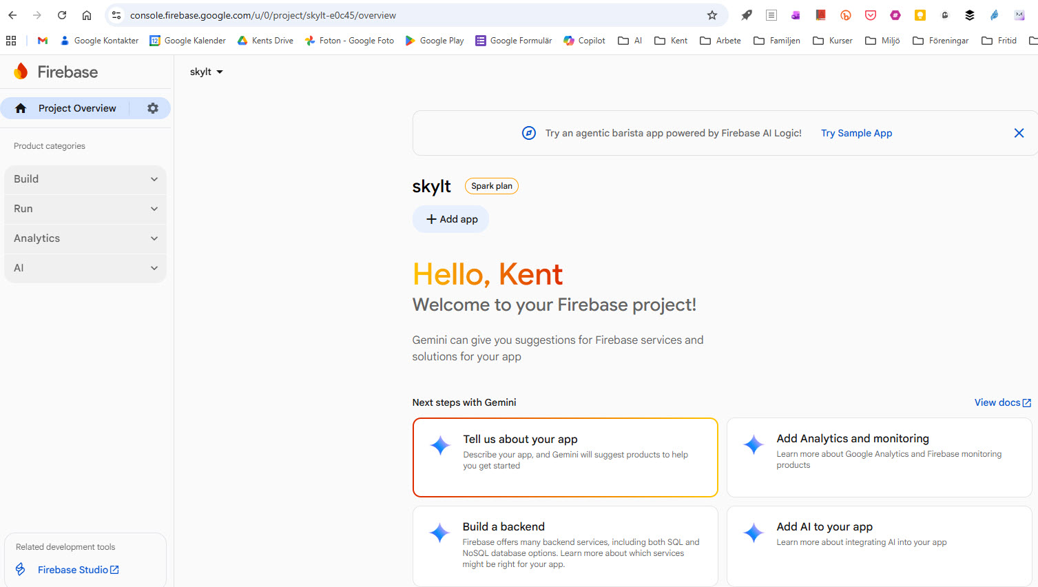 Firebase Console för projektet skylt-e0c45